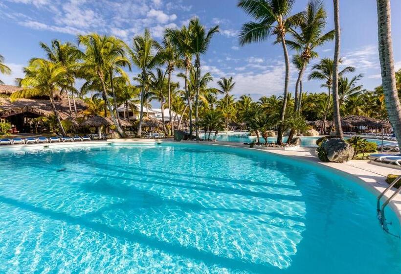 غرفة سوبيريور, Playabachata