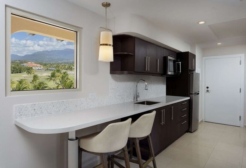 ویلا پریمیوم 1 خوابه, Hyatt Regency Grand Reserve Puerto Rico