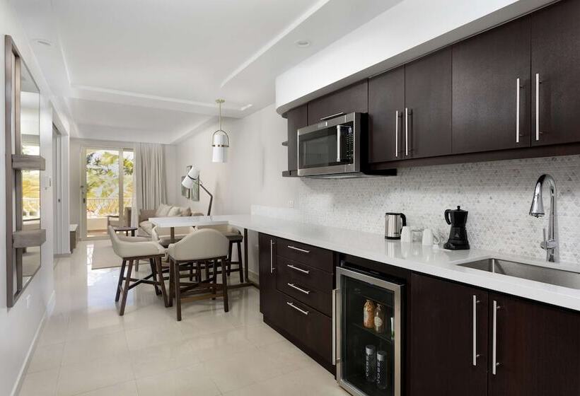 ویلای لوکس 1 خوابه, Hyatt Regency Grand Reserve Puerto Rico