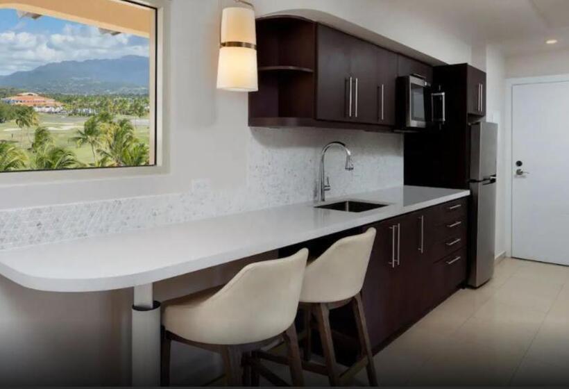 ویلا پریمیوم 1 خوابه, Hyatt Regency Grand Reserve Puerto Rico