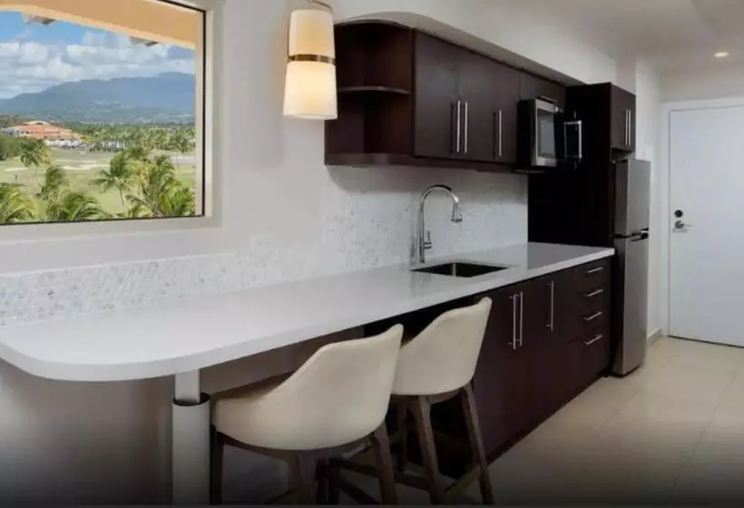 ویلا پریمیوم 1 خوابه, Hyatt Regency Grand Reserve Puerto Rico