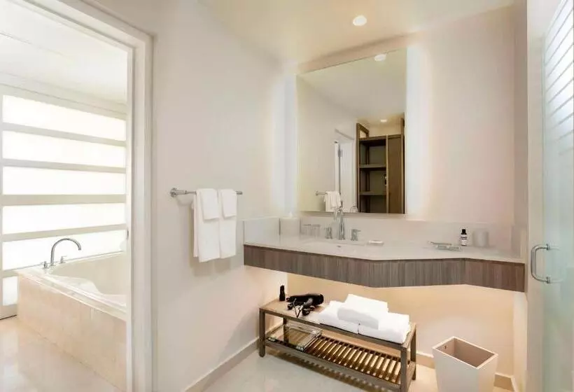 ویلا پریمیوم 1 خوابه, Hyatt Regency Grand Reserve Puerto Rico