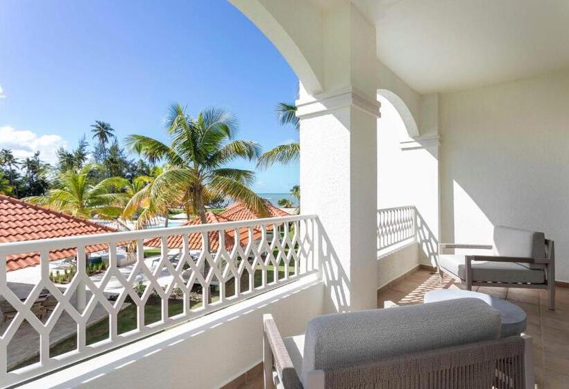 ویلای لوکس 1 خوابه, Hyatt Regency Grand Reserve Puerto Rico