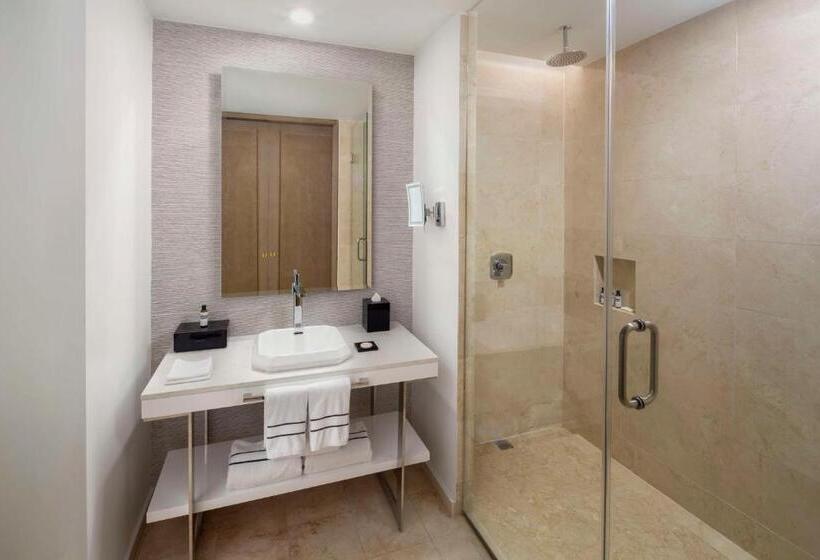 اتاق لوکس با چشمانداز باغ, Hyatt Regency Grand Reserve Puerto Rico