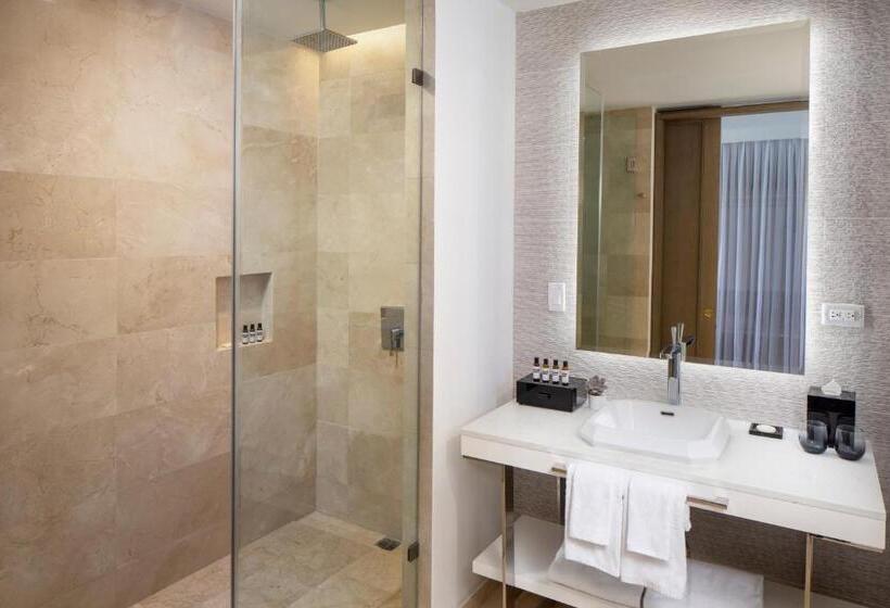 اتاق پریمیوم با چشمانداز باغ, Hyatt Regency Grand Reserve Puerto Rico