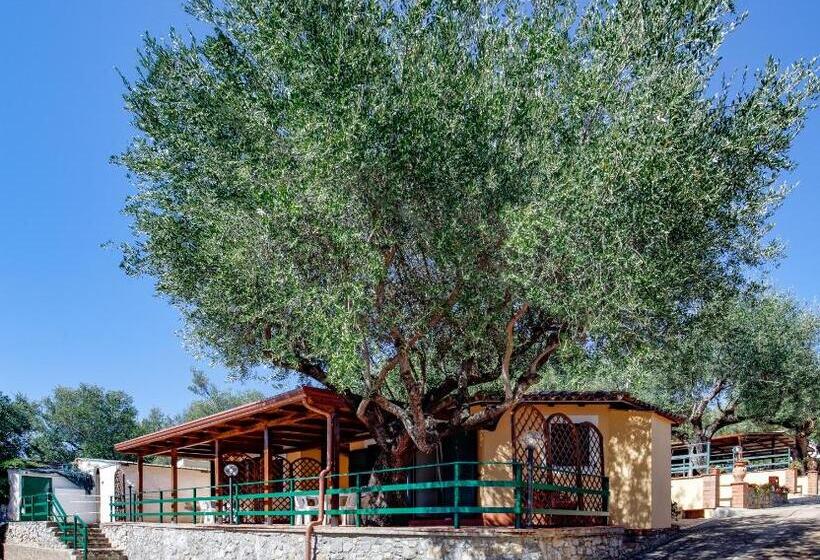 آپارتمان 1 خوابه با تراس, Villaggio Residence Pietra Grigia