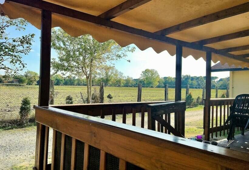 خانه 2 خوابه, Greenchalets Toskana Viareggio Campsite