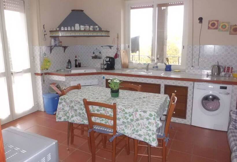 로맨틱 룸, At Armando S Home