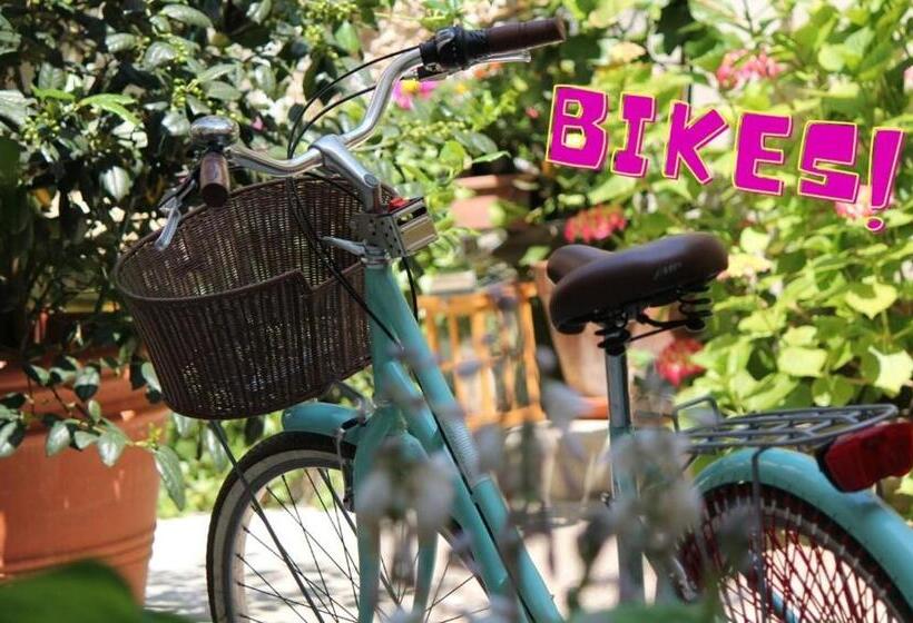 استودیوی لوکس, Il Cortile Di Elisa & Our Flats