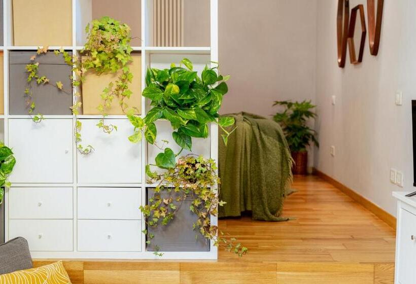 استودیوی لوکس, Il Cortile Di Elisa & Our Flats