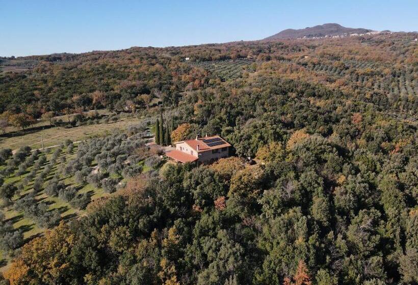 شقة غرفة واحدة مطلة على البحر, Agriturismo Campo Al Crognolo