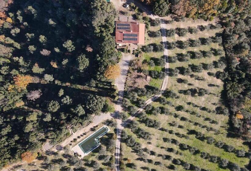 海の見える１ベッドルームアパートメント, Agriturismo Campo Al Crognolo