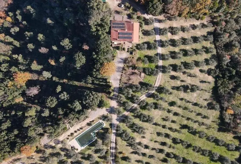 海の見える１ベッドルームアパートメント, Agriturismo Campo Al Crognolo