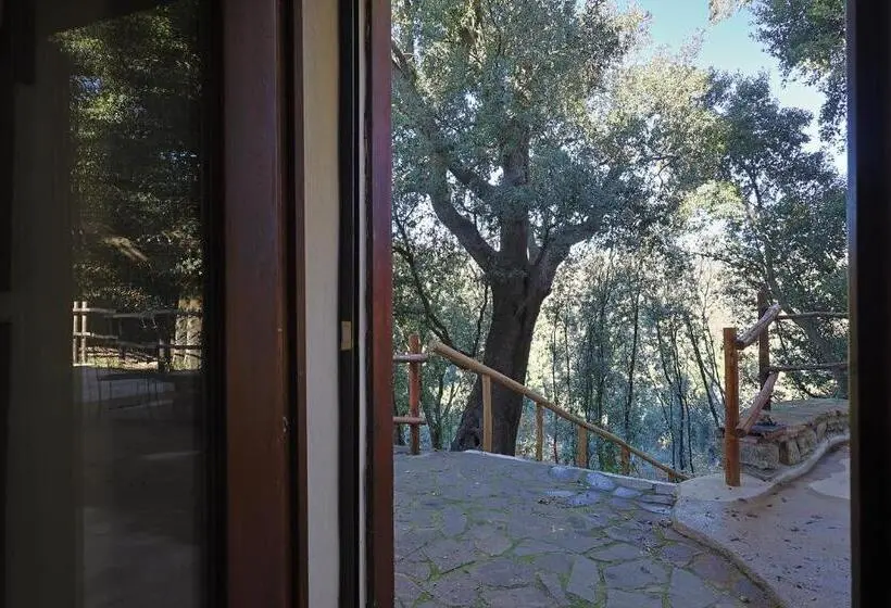 景色の見える一ベッドルームアパートメント, Agriturismo Campo Al Crognolo
