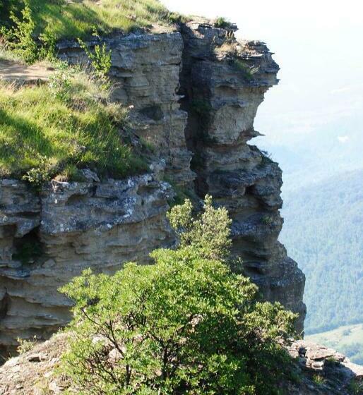 חדר סטנדרט, Agriturismo Piccola Raieda