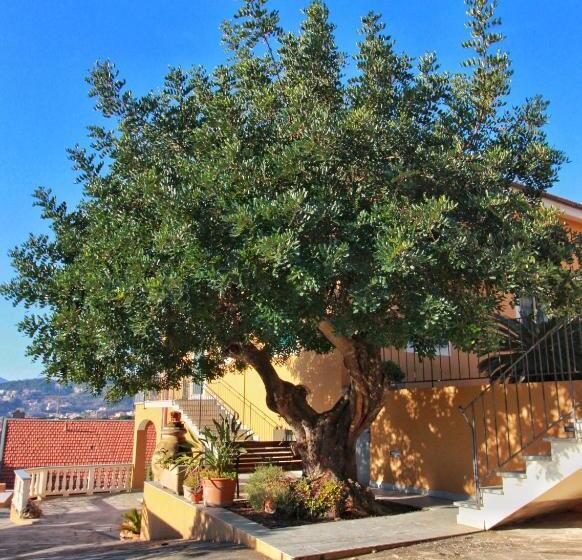 חדר סטנדרט חדר אמבטיה משותף, A Carubba Du Bungiurnu