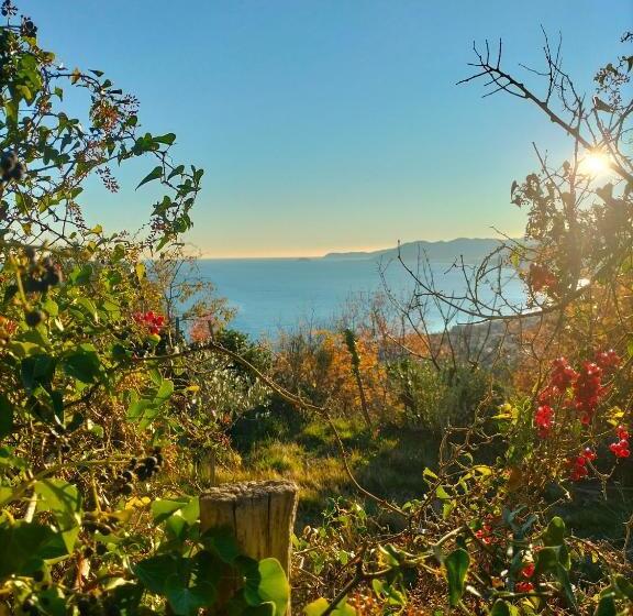 חדר סטנדרט, A Carubba Du Bungiurnu