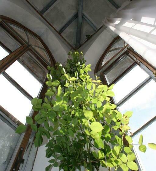 חדר משפחתי, La Torre Di Pieve