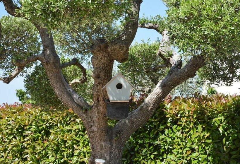 اتاق خانوادگی, Casa Delle Rondini