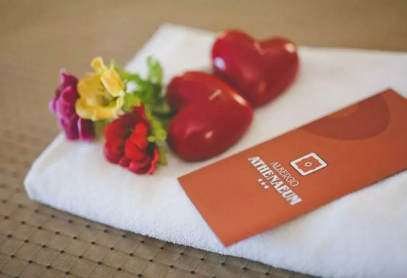 اتاق استاندارد یک نفره, Albergo Athenaeum