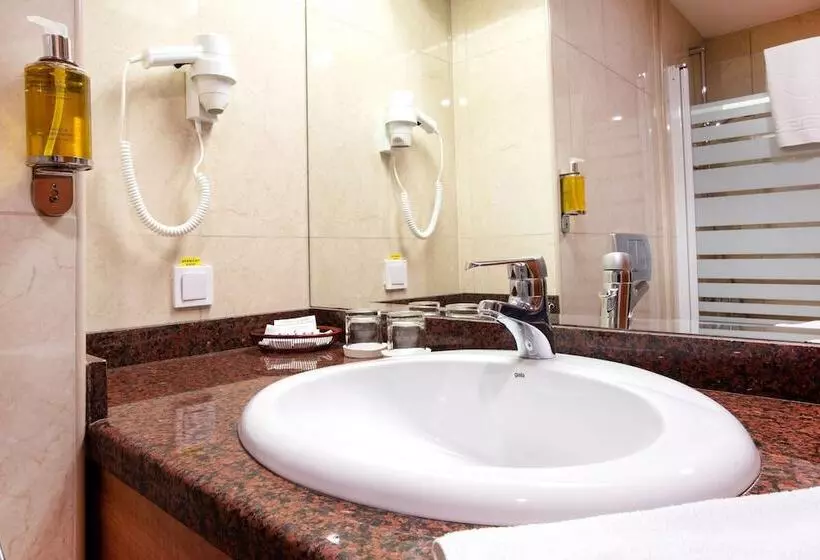 اتاق استاندارد, Duke Romana City Center
