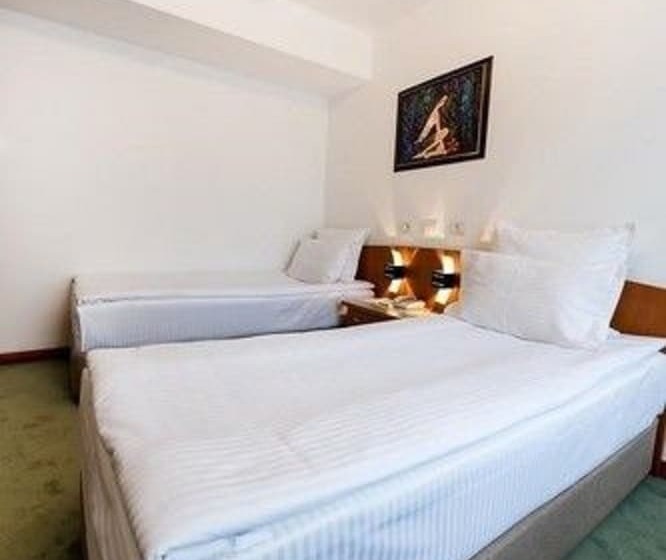 اتاق استاندارد, Duke Romana City Center