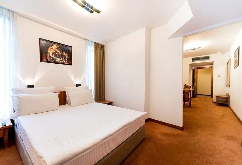 اتاق استاندارد, Duke Romana City Center