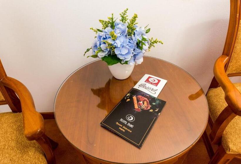 سوییت جونیور, Duke Romana City Center