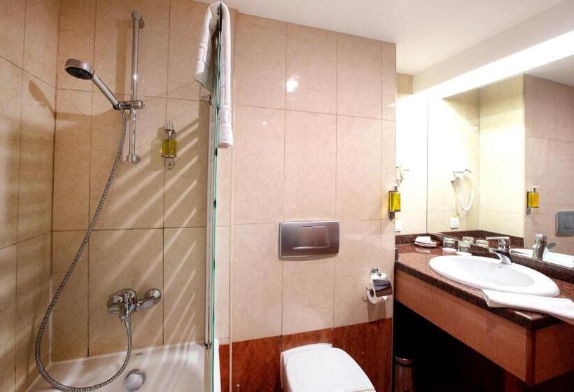 اتاق استاندارد, Duke Romana City Center