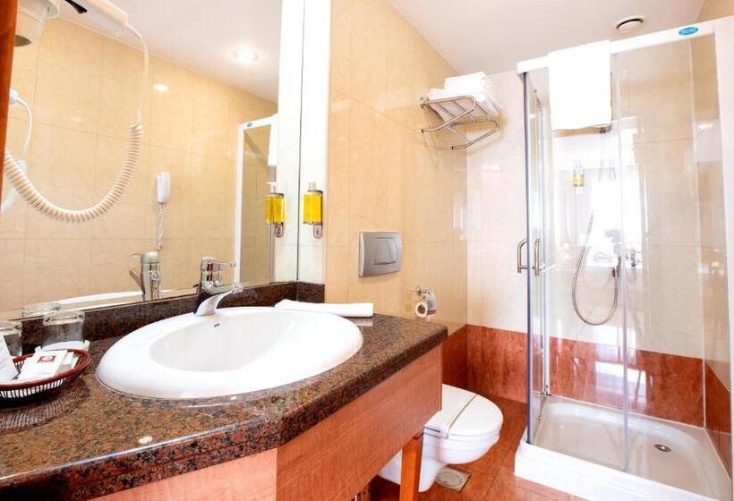 اتاق اکونومی, Duke Romana City Center