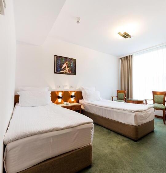 اتاق اکونومی, Duke Romana City Center