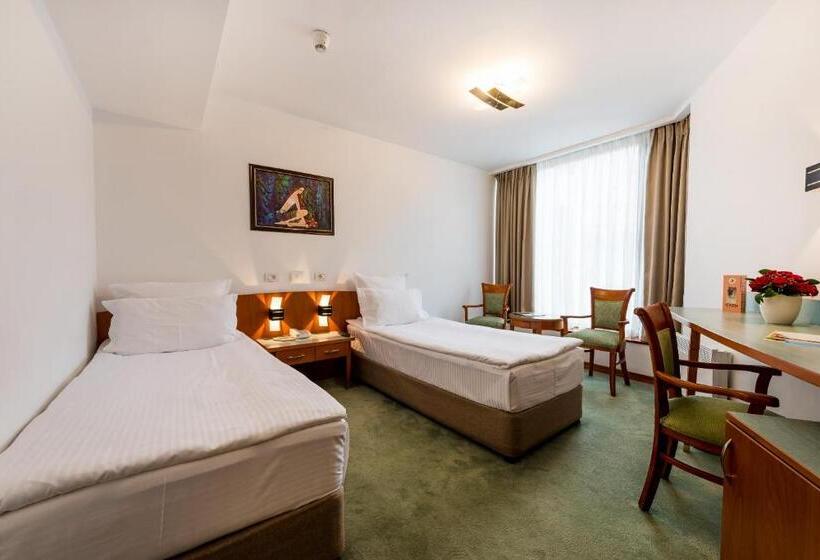 اتاق اکونومی, Duke Romana City Center