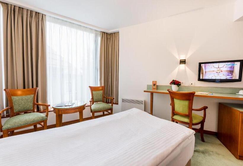 اتاق اکونومی, Duke Romana City Center