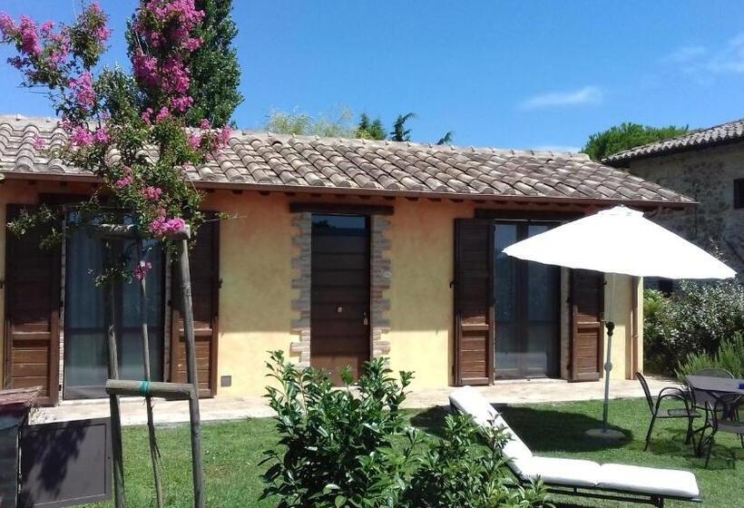 Appartement 1 Chambre Vue Jardin, Fattoria Il Bruco