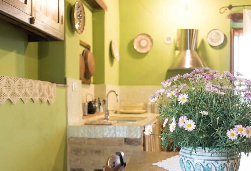 آپارتمان 1 خوابه با تراس, Fattoria Il Bruco