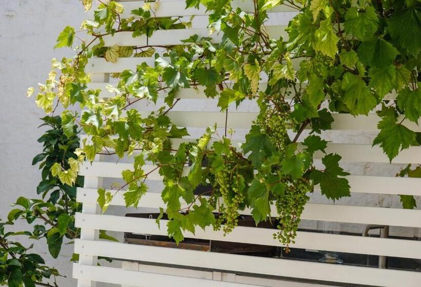 منزل 3 غرف نوم, Welcome Ostuni B&b