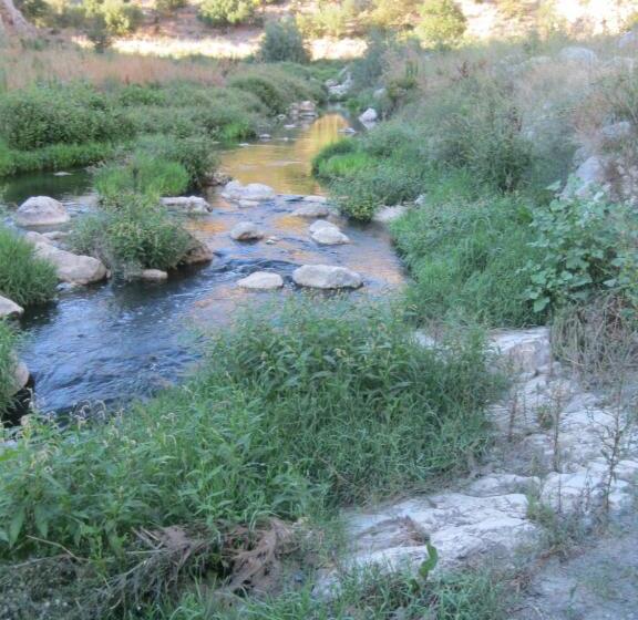 اتاق لوکس با چشمانداز شهر, Da Ida In Lak Ech