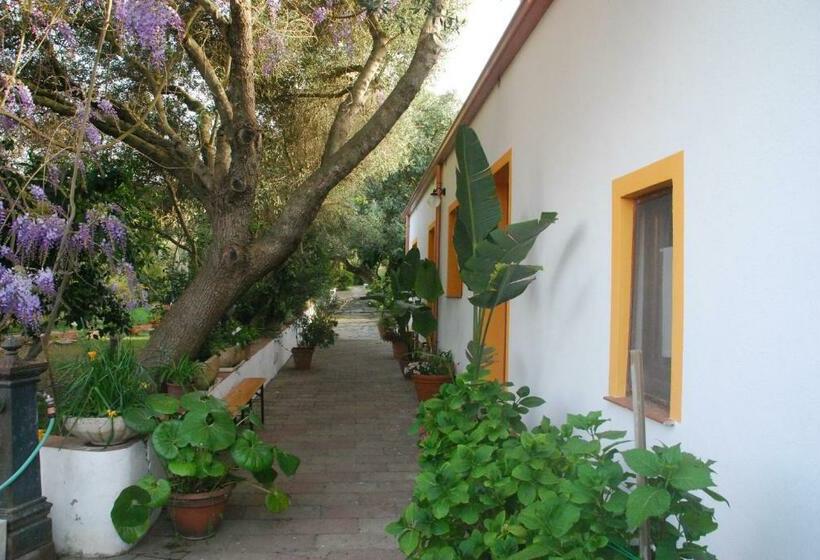 חדר אקונומי, B&b Su Narboni Mannu E4247