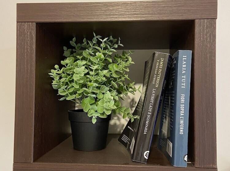 带1个卧室的带阳台的公寓, B&b Le Statuine