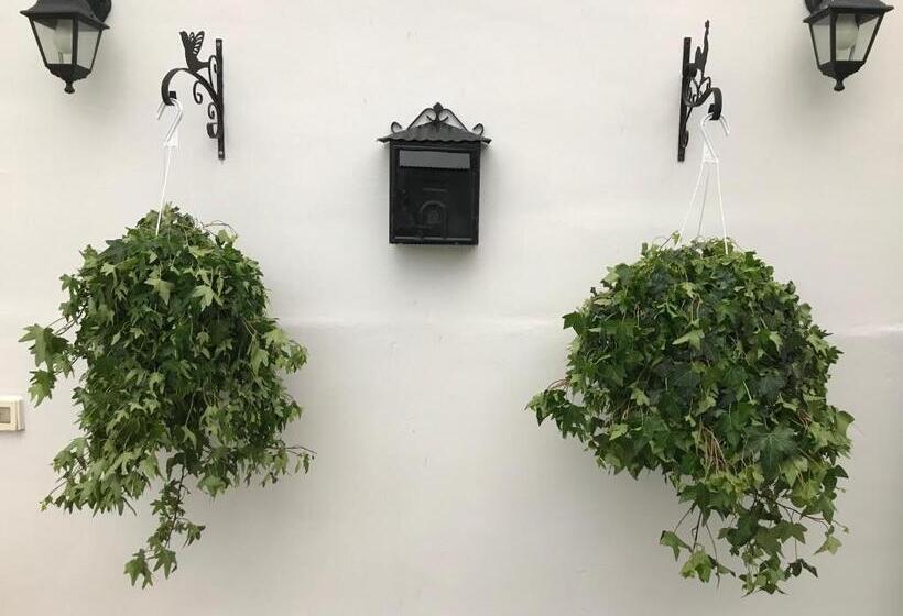 带1个卧室的带阳台的公寓, B&b Le Statuine