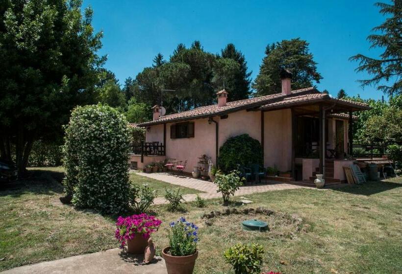 キングサイズベッドのスーペリアルーム, Olive Tree Hill