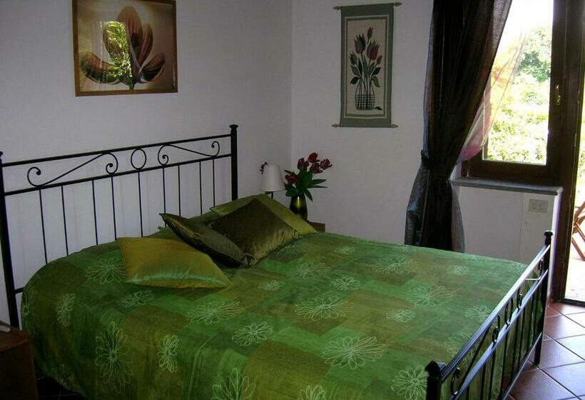 スタンダード４人部屋, Olive Tree Hill