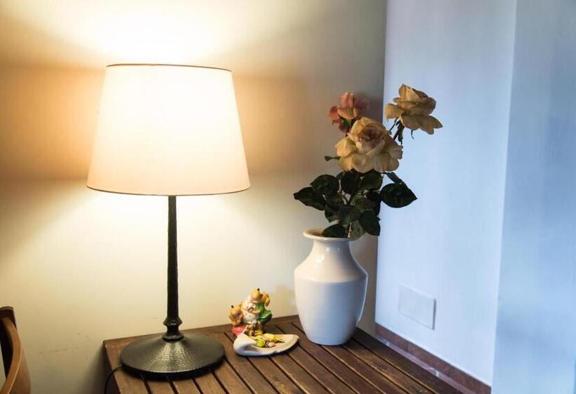 スタンダード４人部屋, Olive Tree Hill