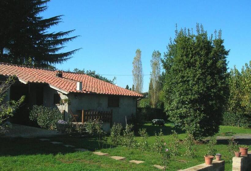 スタンダード４人部屋, Olive Tree Hill