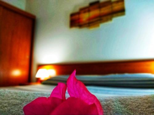 Номер Стандарт, Enzo Il Negro