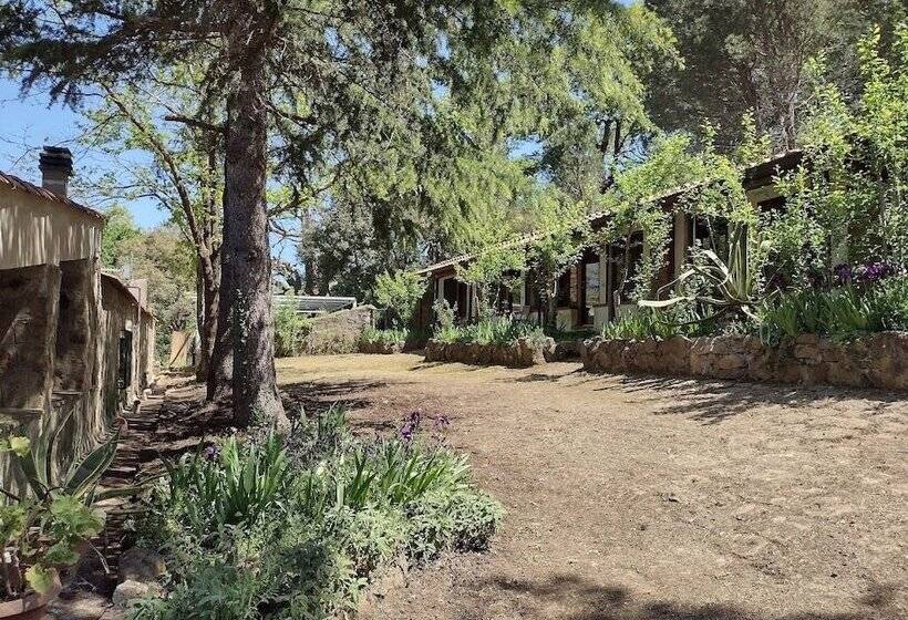 חדר סטנדרט, Agriturismo Bosco Pianetti