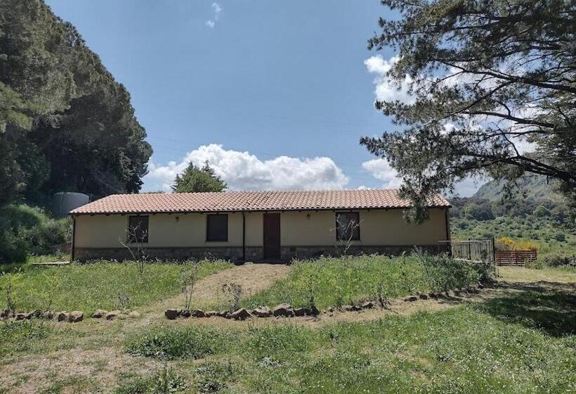 חדר סטנדרט, Agriturismo Bosco Pianetti