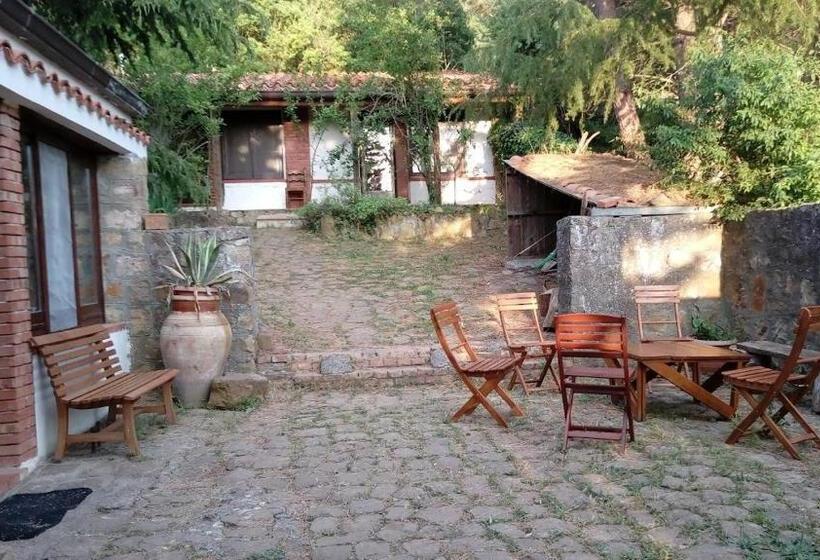 חדר סטנדרט לשלושה, Agriturismo Bosco Pianetti