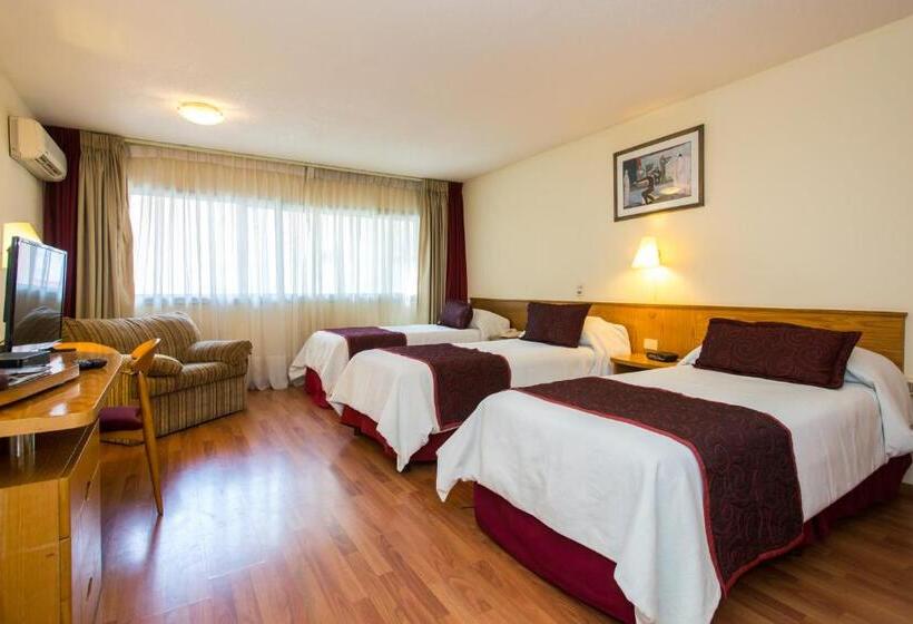 수피리어 트리플 룸, Armon Suites