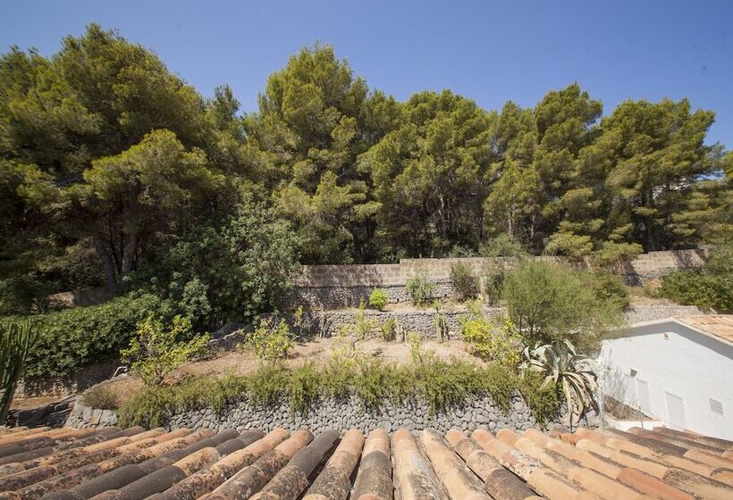 기본룸, Eden Nord Soller